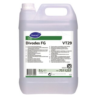 Divodes FG VT29 (IHO Listung) Flächendesinfektionsmittel 5 Liter Kanister